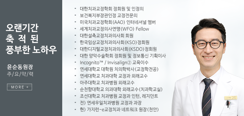 이미지명